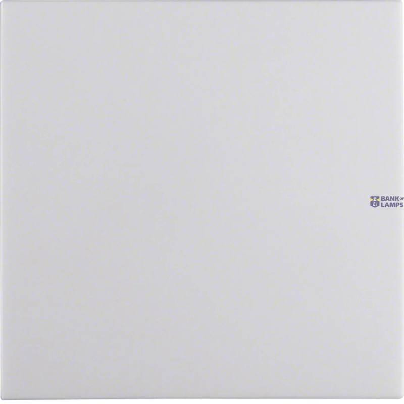 Berker 16208989 — Rocker, S.1/B