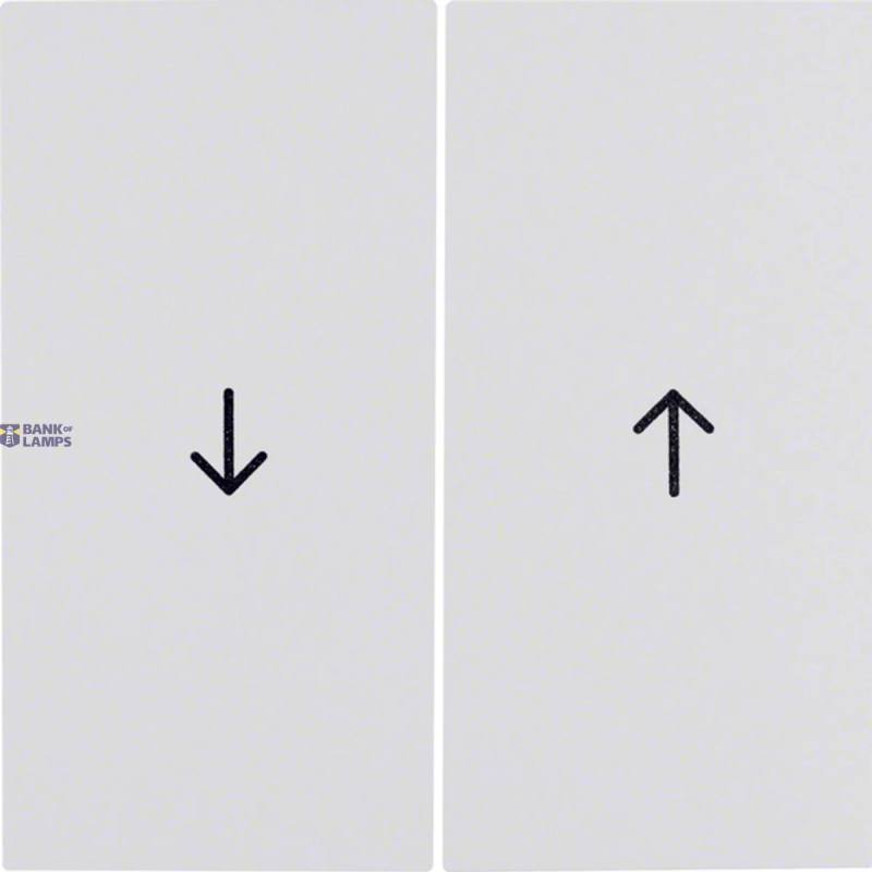 Berker 16258989 — Rocker 2-Gang with