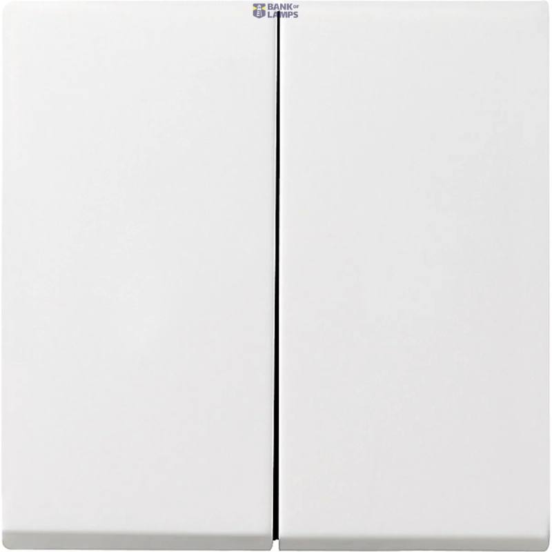 Gira 029503 — Rocker System 55