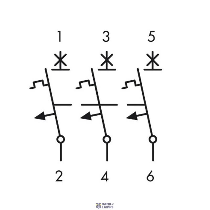 SCHRACK AM617316-- — automātslēdzis AMPARO 6kA