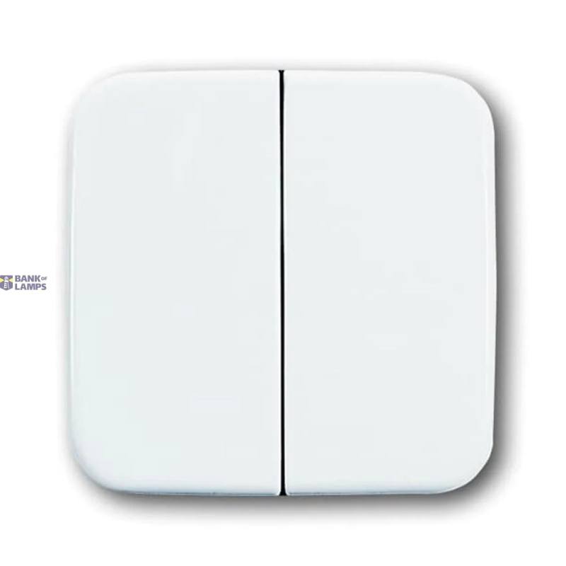 Busch-Jaeger 2CKA001731A1993 — 2505-214-500 Cover Plates