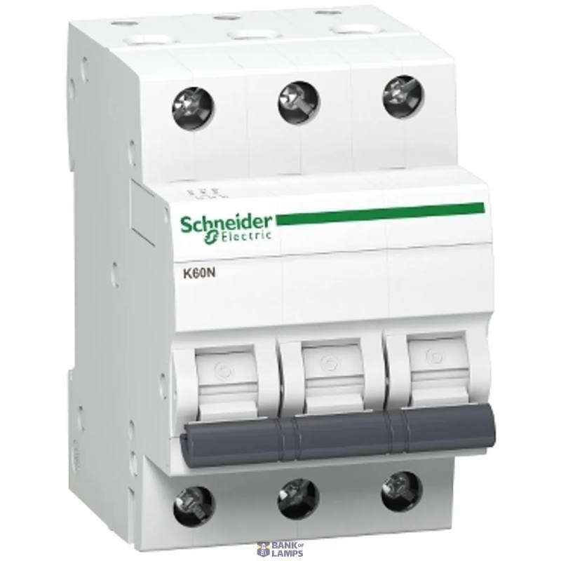 Schneider Electric A9K01325 — automātslēdzis Acti9