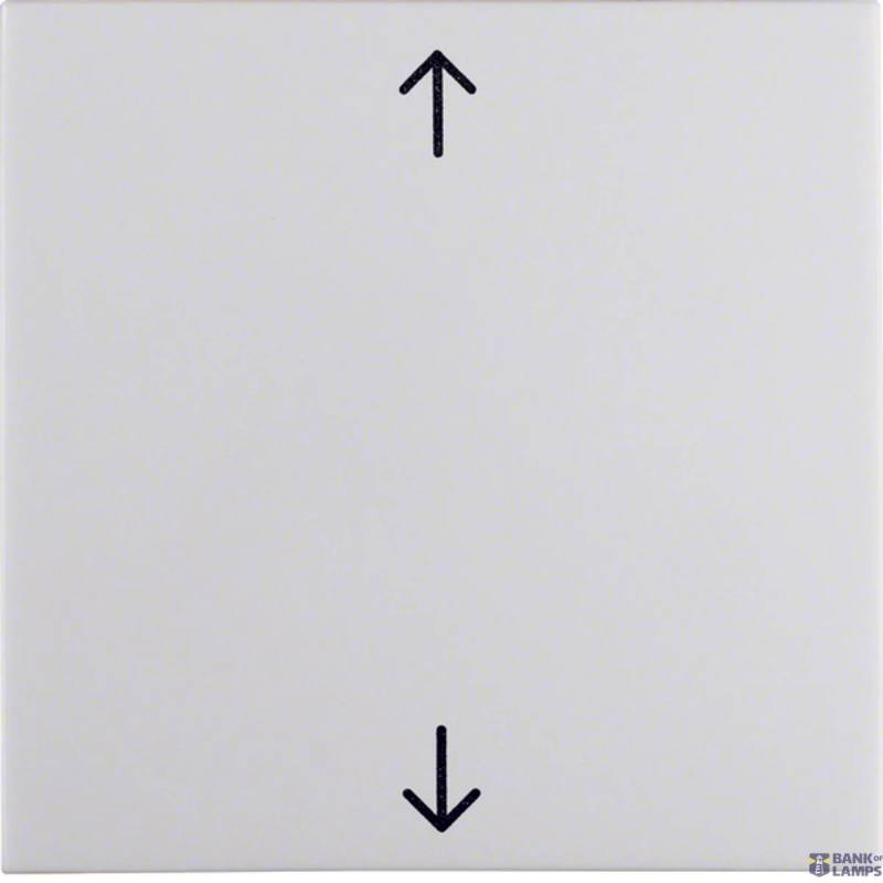 Berker 16208919 — Rocker with arrow