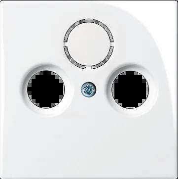 Busch-Jaeger 2CKA001724A4283 — 1743-94-507 Cover Plates