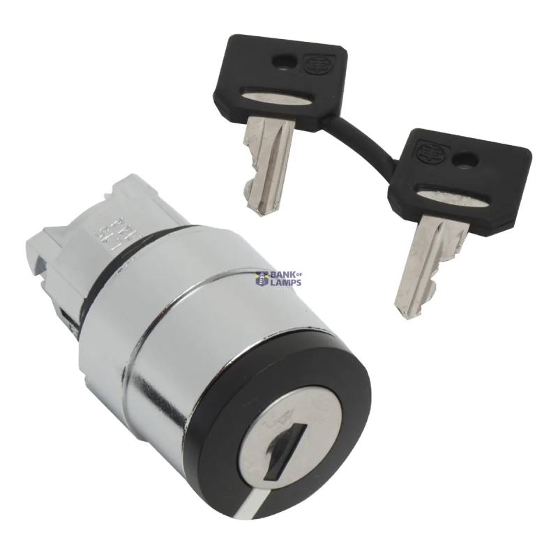 Schneider Electric ZB4BG020 — Key Selector