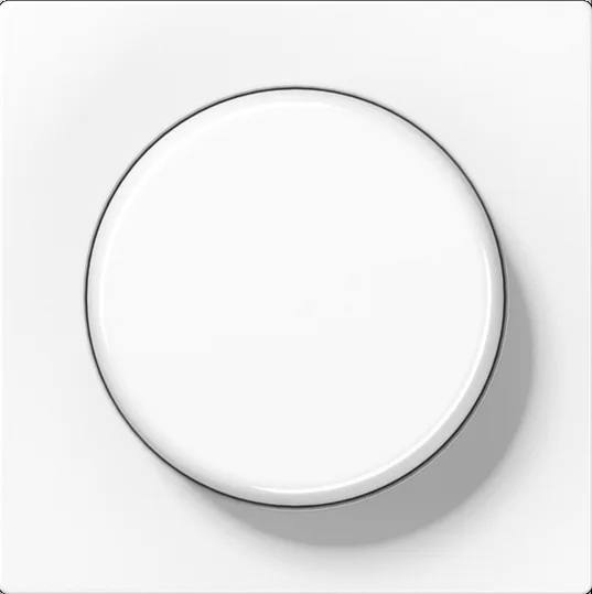 Jung A1540EXWW — Centre Plate for