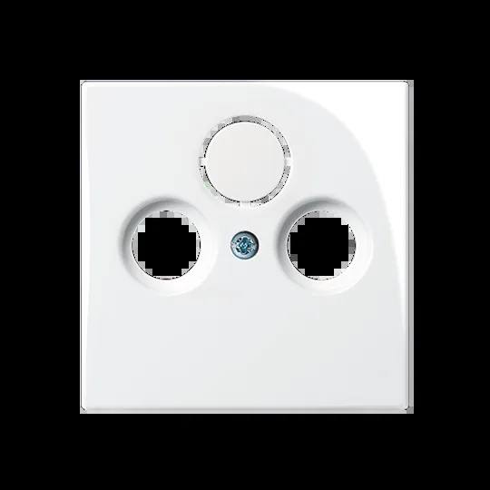 Busch-Jaeger 2CKA001724A4284 — Central Plate Basic