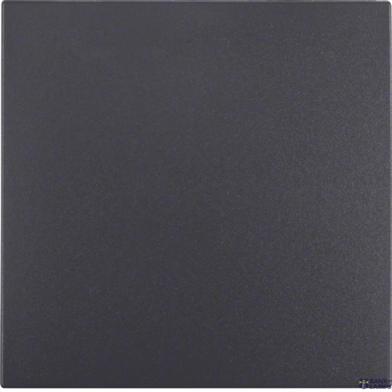 Berker 16201606 — Rocker, B.3/B